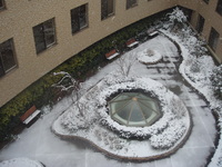 yuki12.2.19 004.jpg
