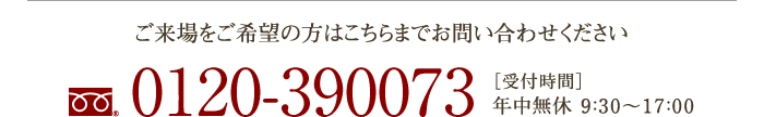 電話をかける:0120-390073