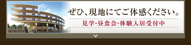 ぜひ現地にてご体感ください。